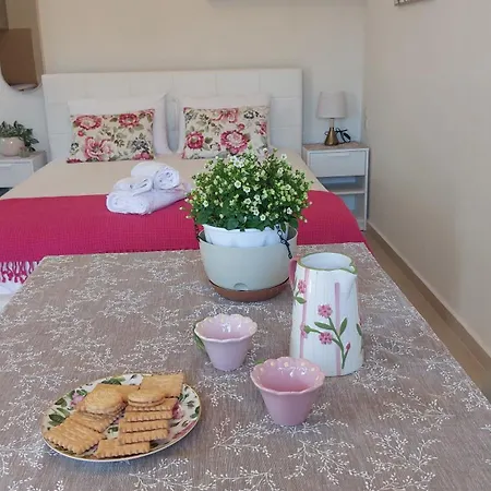 Odysseus Cozy Seaview