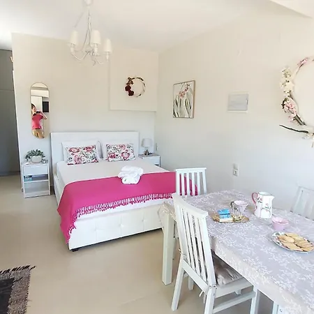 Odysseus Cozy Seaview Argostoli (Kefalonia)